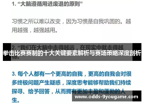 拳击比赛赛制的十大关键要素解析与赛场策略深度剖析